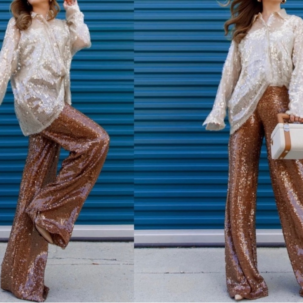 ZARA Copper Brown Sequin Pleated Wide Leg Pants - Picture 2 of 15